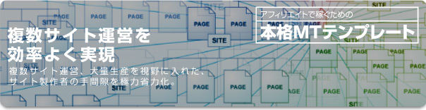 複数サイト運営を効率よく実現image